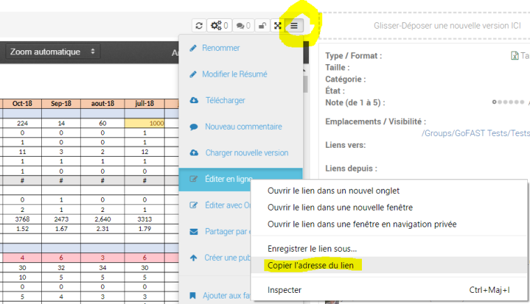 0_1542369544423_Capture Récupérer le chemin d'accès au fichier Excel sous GoFAST.PNG